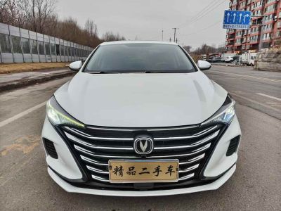 2021年1月 上喆 上喆V-Class V260L 卡其軒版圖片