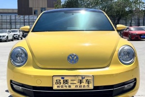 甲殼蟲(chóng) 大眾 1.4TSI 豪華型