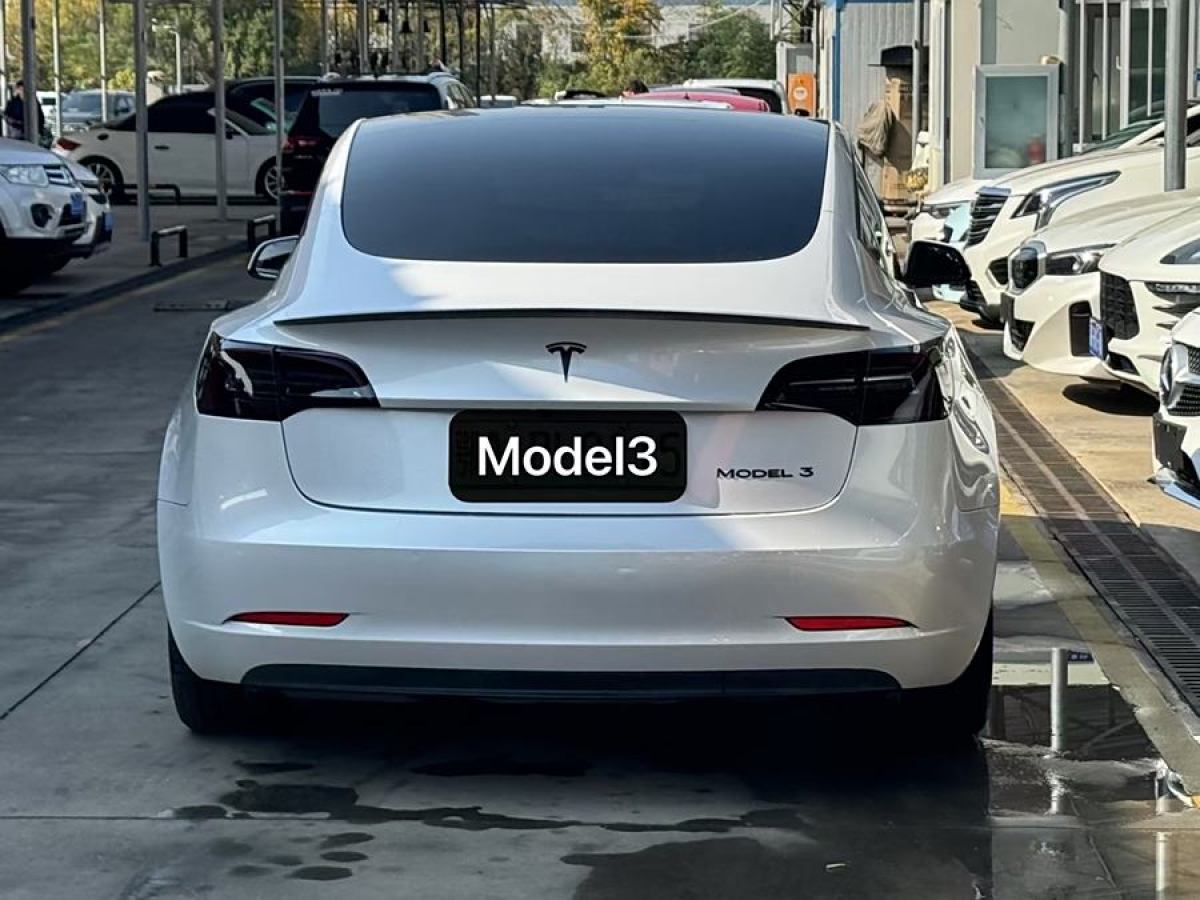 特斯拉 Model 3  2019款 標(biāo)準(zhǔn)續(xù)航后驅(qū)升級版圖片