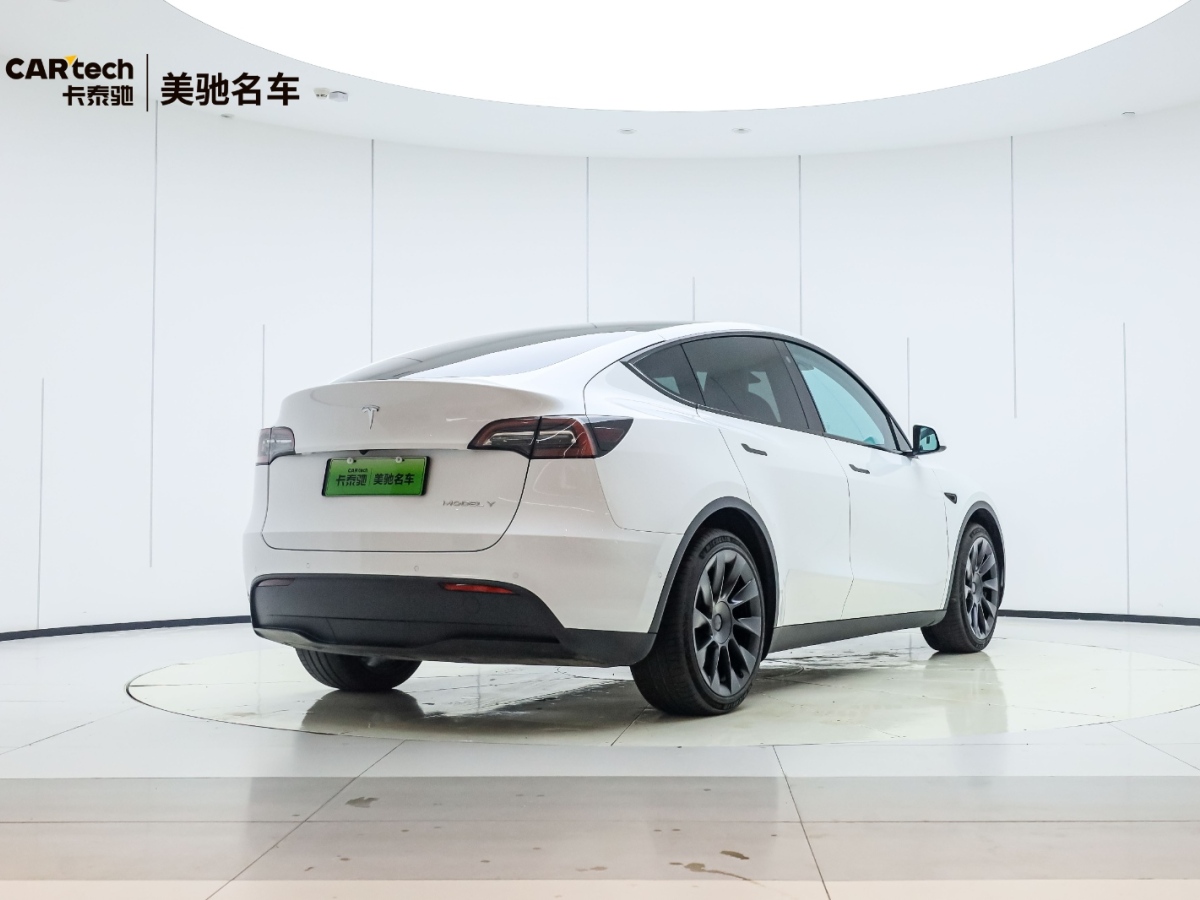 特斯拉 Model Y  2020款 Performance高性能全輪驅(qū)動(dòng)版圖片