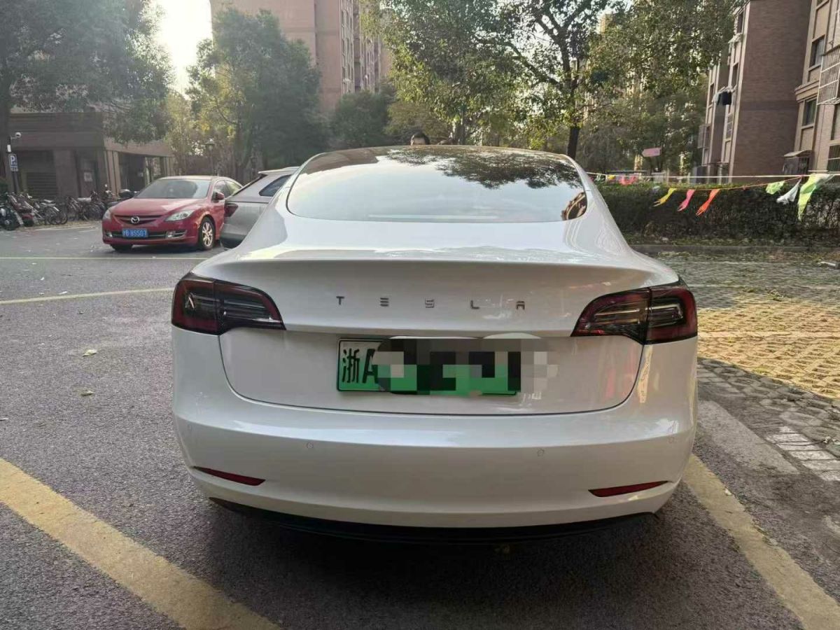 特斯拉 Model 3  2022款 Performance高性能全輪驅(qū)動版圖片