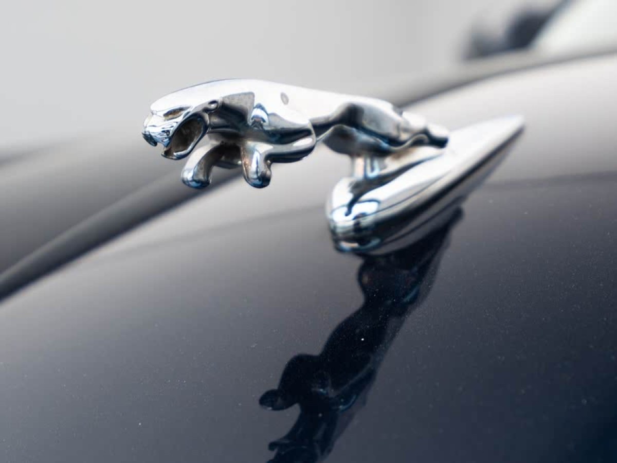 捷豹 XJ  2007款 XJ6L 3.0皇家加長版圖片