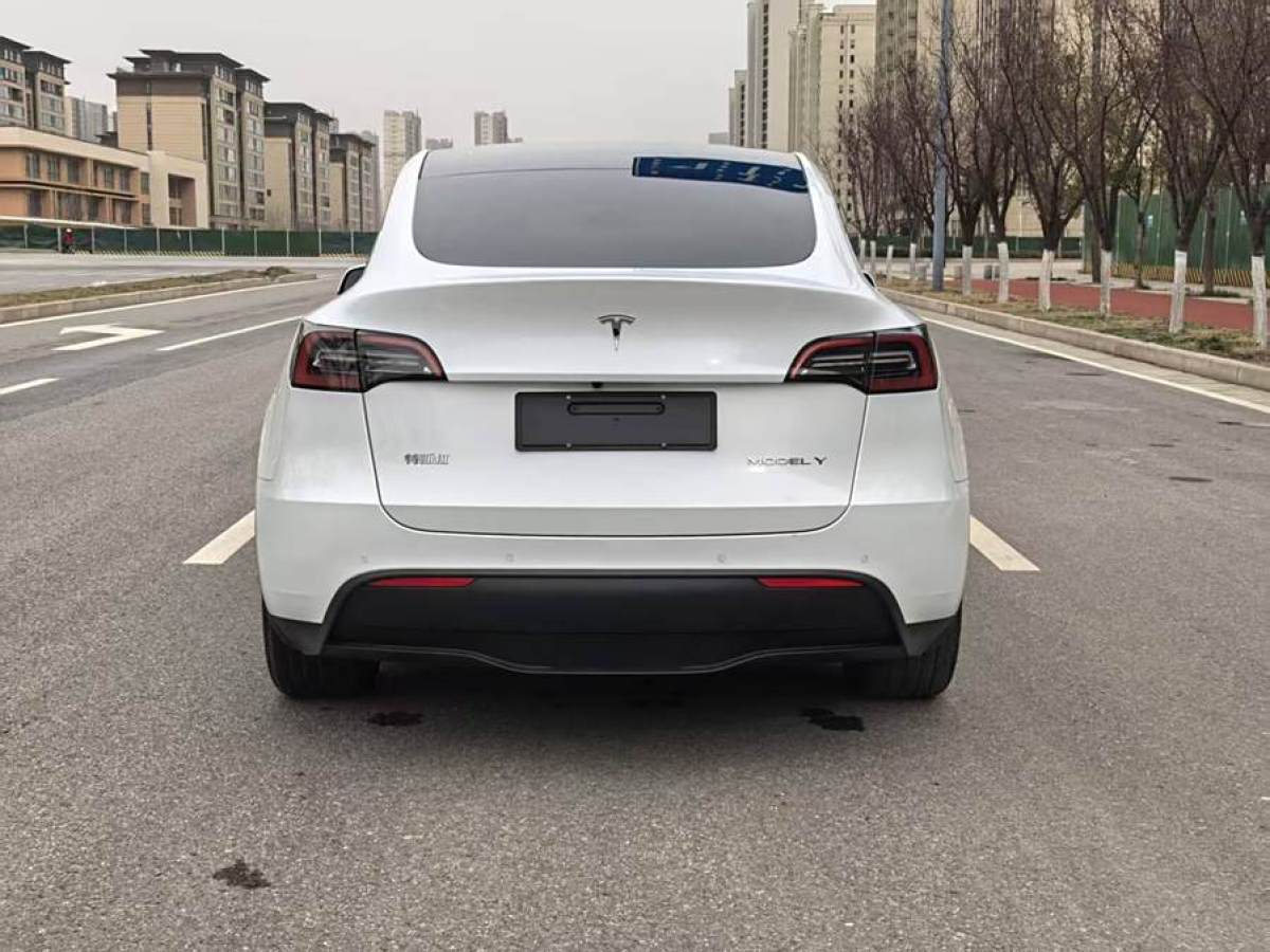 特斯拉 Model 3  2020款 改款 長續(xù)航后輪驅(qū)動(dòng)版圖片