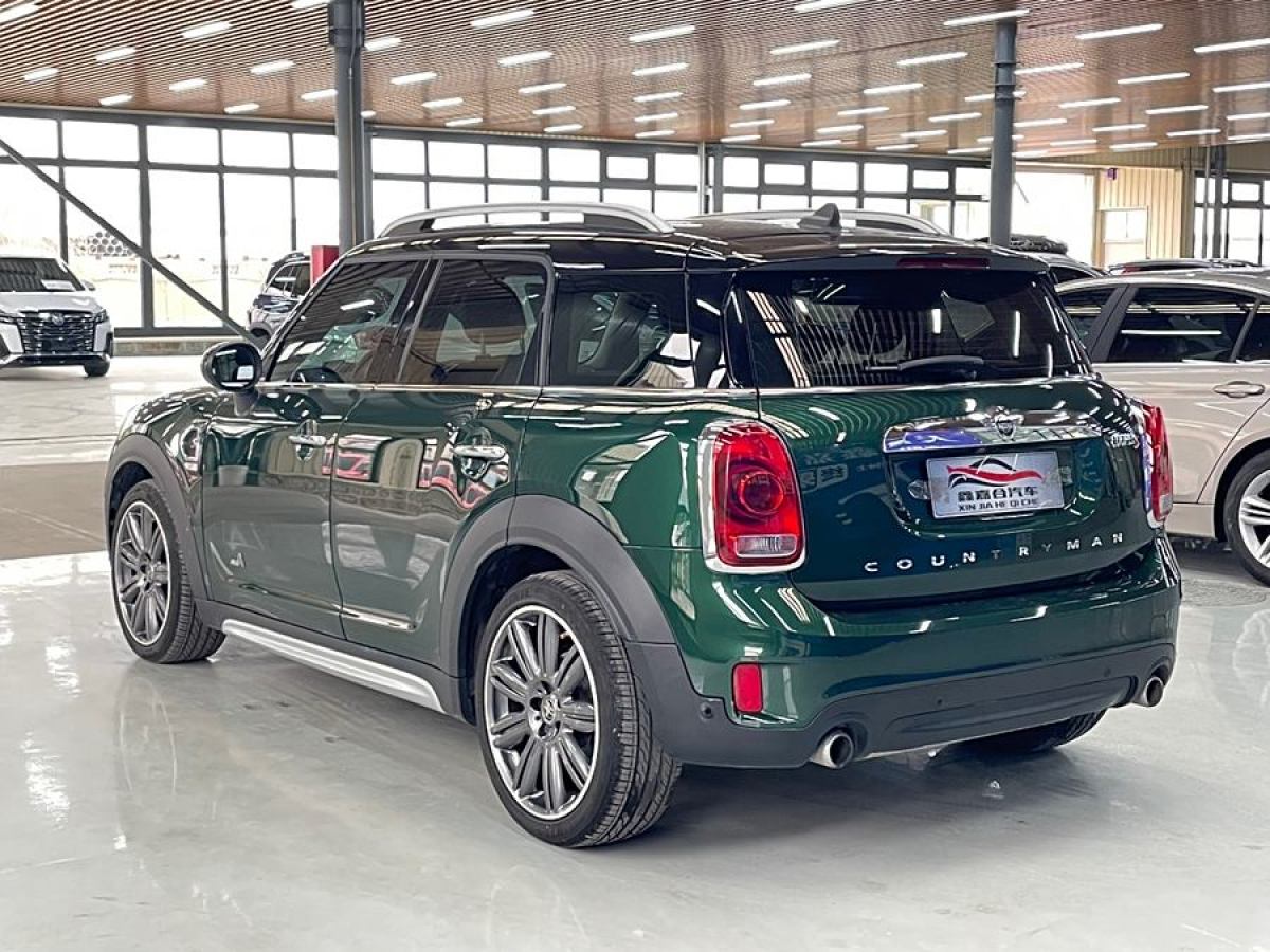 MINI COUNTRYMAN  2018款 2.0T COOPER S ALL4 藝術(shù)家圖片