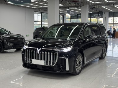 2024年5月 嵐圖 夢想家 PHEV 超長續(xù)航旗艦版圖片