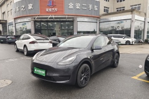 Model Y 特斯拉 改款 长续航后轮驱动版