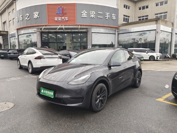 特斯拉 Model Y  2020款 改款 长续航后轮驱动版