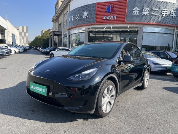 特斯拉 Model Y  2020款 改款 长续航后轮驱动版