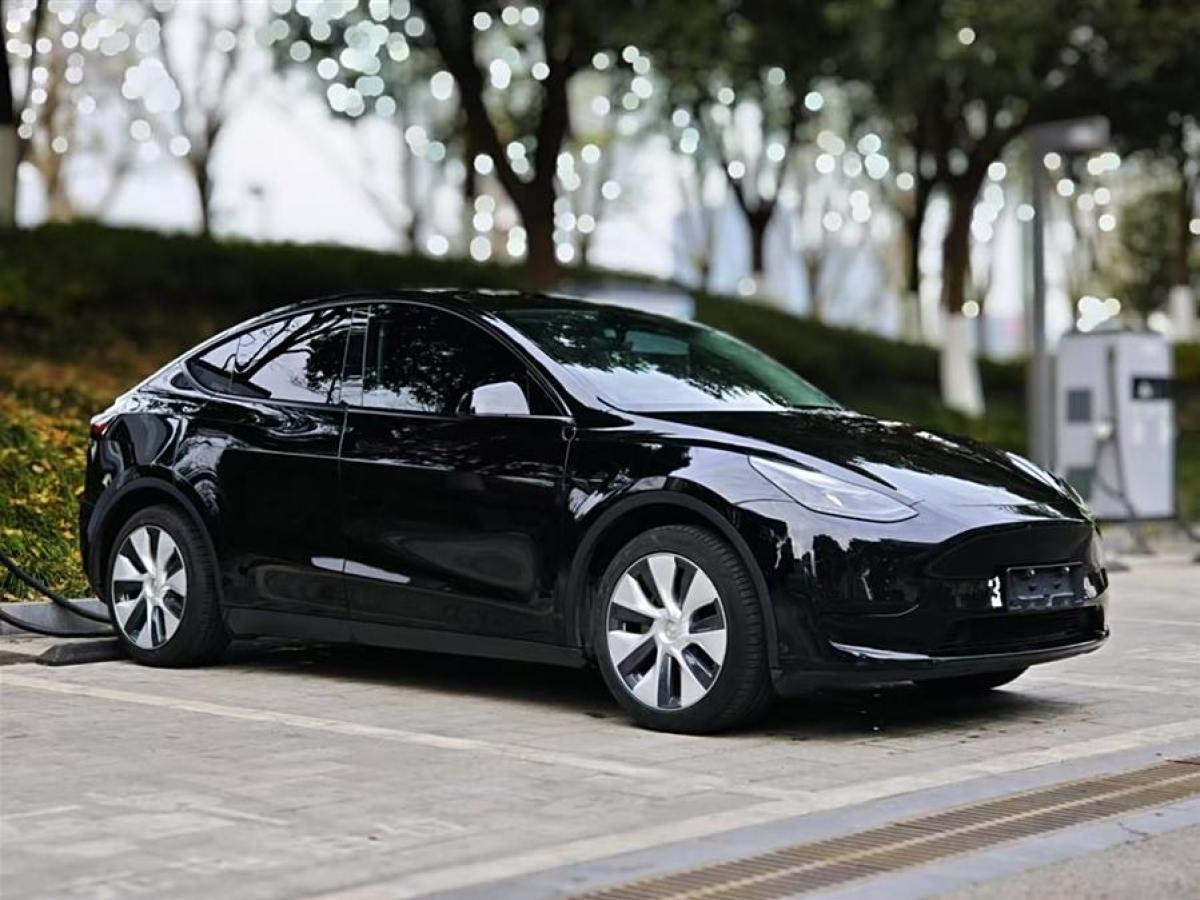 特斯拉 Model 3  2022款 后輪驅(qū)動(dòng)版圖片