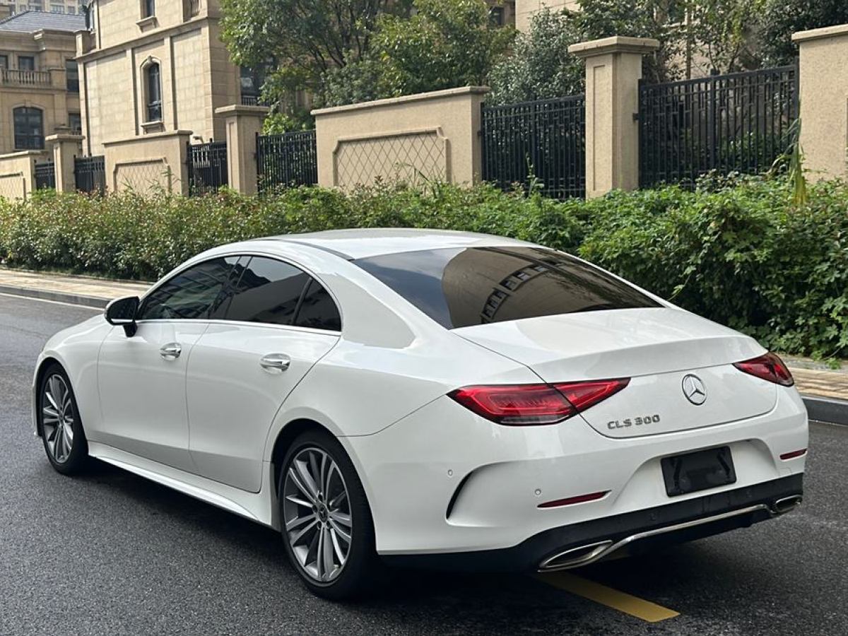 奔馳 奔馳CLS級(jí)  2020款 CLS 300 豪華型圖片