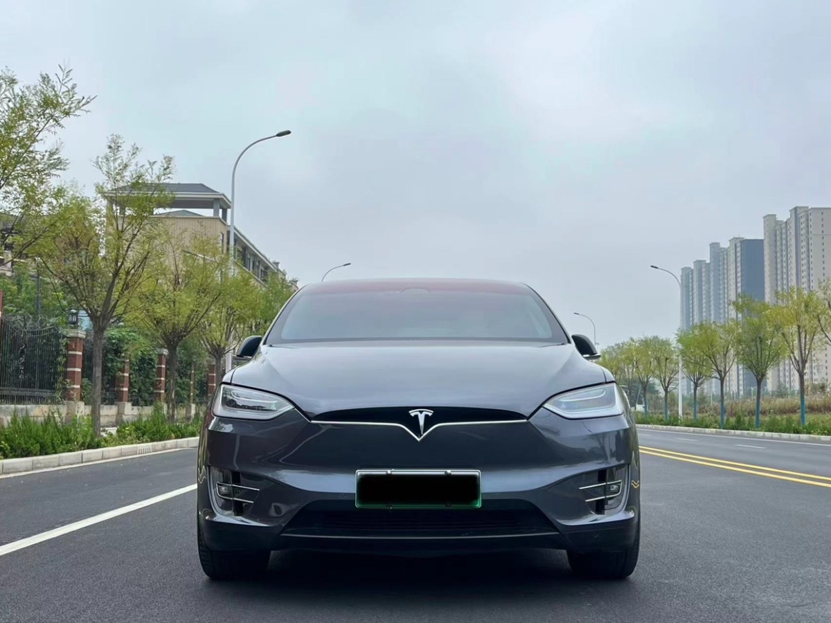 特斯拉 Model X  2020款 長續(xù)航升級版圖片