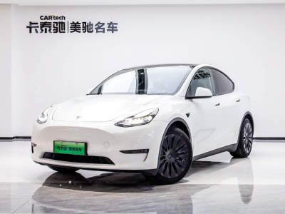 2022年1月  特斯拉 特斯拉 Model Y 2021款 标准续航后驱版图片