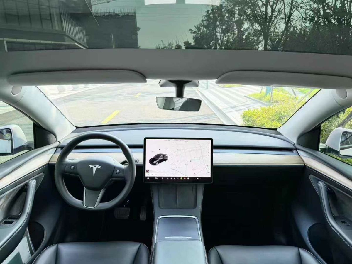 特斯拉 Model Y  2022款 Performance高性能全輪驅(qū)動(dòng)版圖片