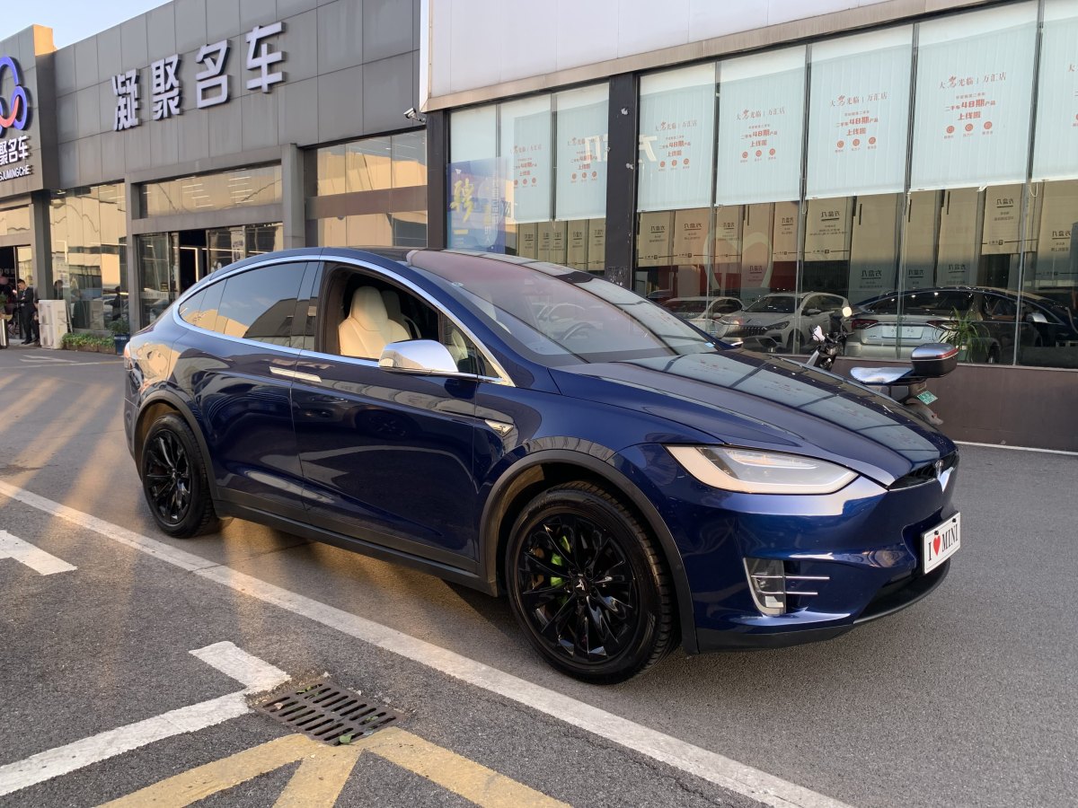 特斯拉 Model X  2016款 Model X 75D圖片