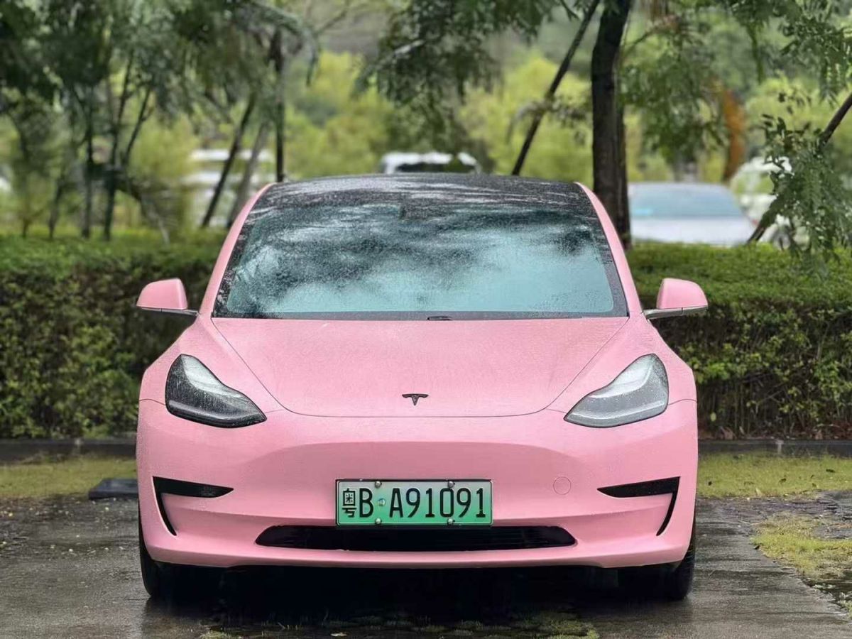 特斯拉 Model 3  2020款 標準續(xù)航后驅升級版圖片