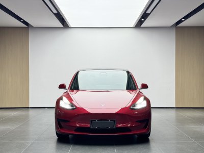 2020年11月 特斯拉 Model 3 標準續(xù)航后驅(qū)升級版圖片