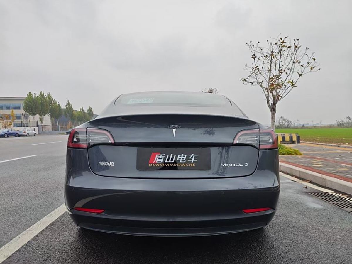 特斯拉 Model Y  2020款 改款 長(zhǎng)續(xù)航后輪驅(qū)動(dòng)版圖片