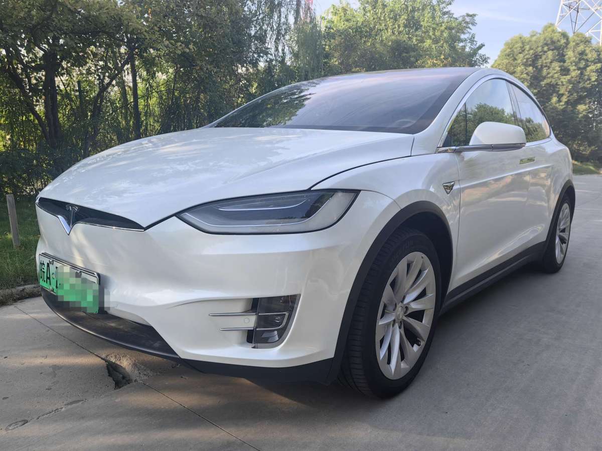 特斯拉 Model X  2021款 長(zhǎng)續(xù)航升級(jí)版圖片