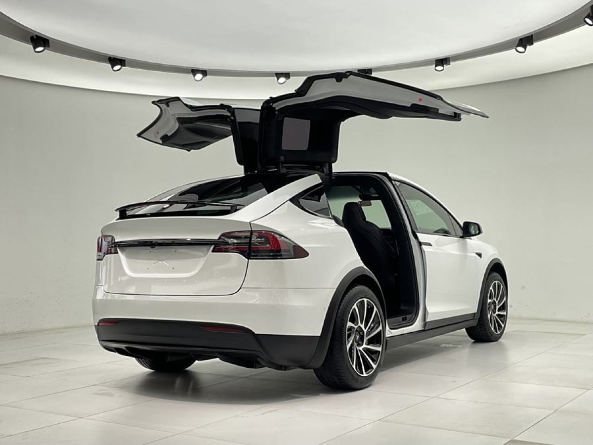 特斯拉 Model X  2019款 長(zhǎng)續(xù)航版圖片