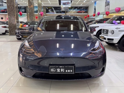 2024年12月 特斯拉 Model Y 后輪驅(qū)動(dòng)版圖片