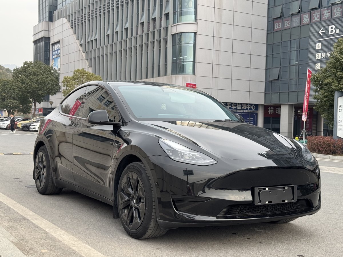 特斯拉 Model 3  2022款 后輪驅(qū)動版圖片