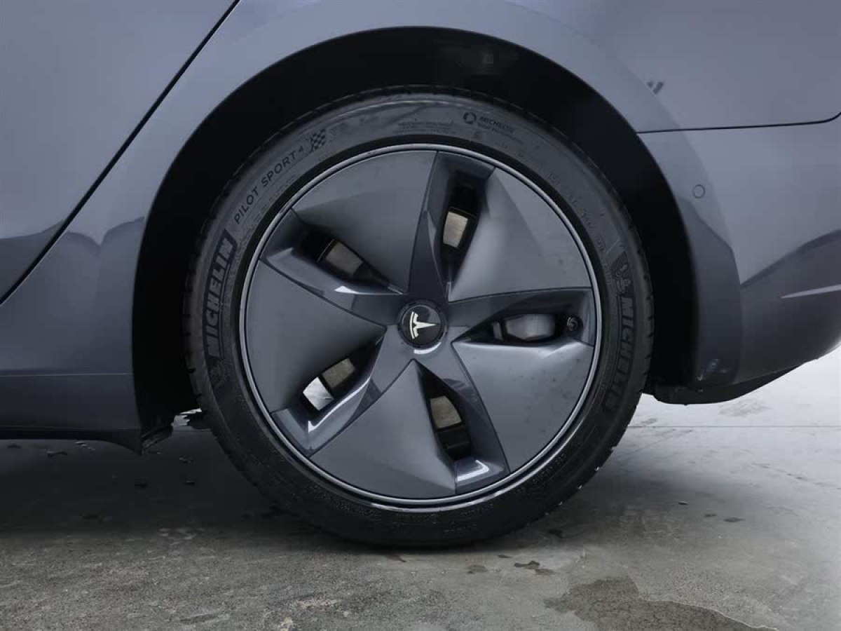 特斯拉 Model 3  2019款 標(biāo)準(zhǔn)續(xù)航后驅(qū)升級(jí)版圖片
