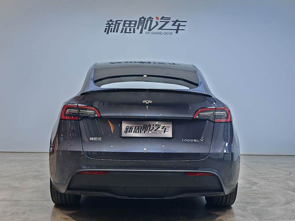 特斯拉 Model 3  2020款 改款 長續(xù)航后輪驅(qū)動(dòng)版圖片