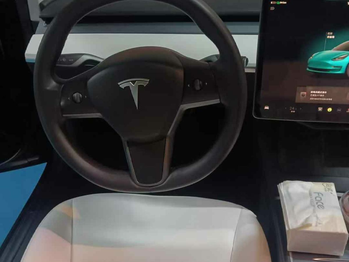 特斯拉 Model 3  2022款 Performance高性能全輪驅(qū)動(dòng)版圖片