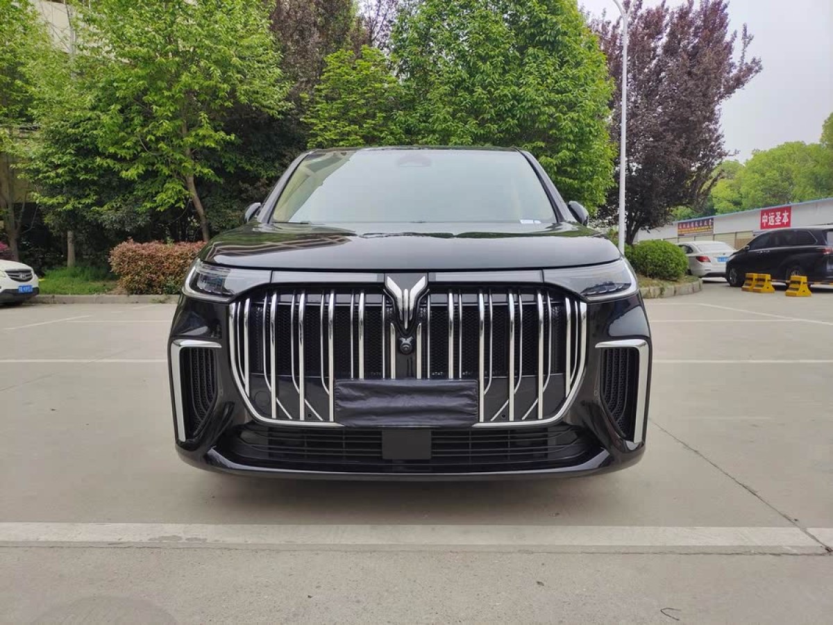 嵐圖 夢想家  2024款 PHEV 超長續(xù)航尊貴版圖片