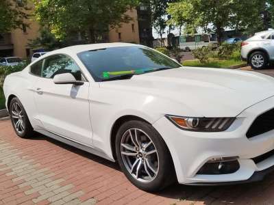 2019年6月 福特 Mustang(进口) 2.3L EcoBoost图片