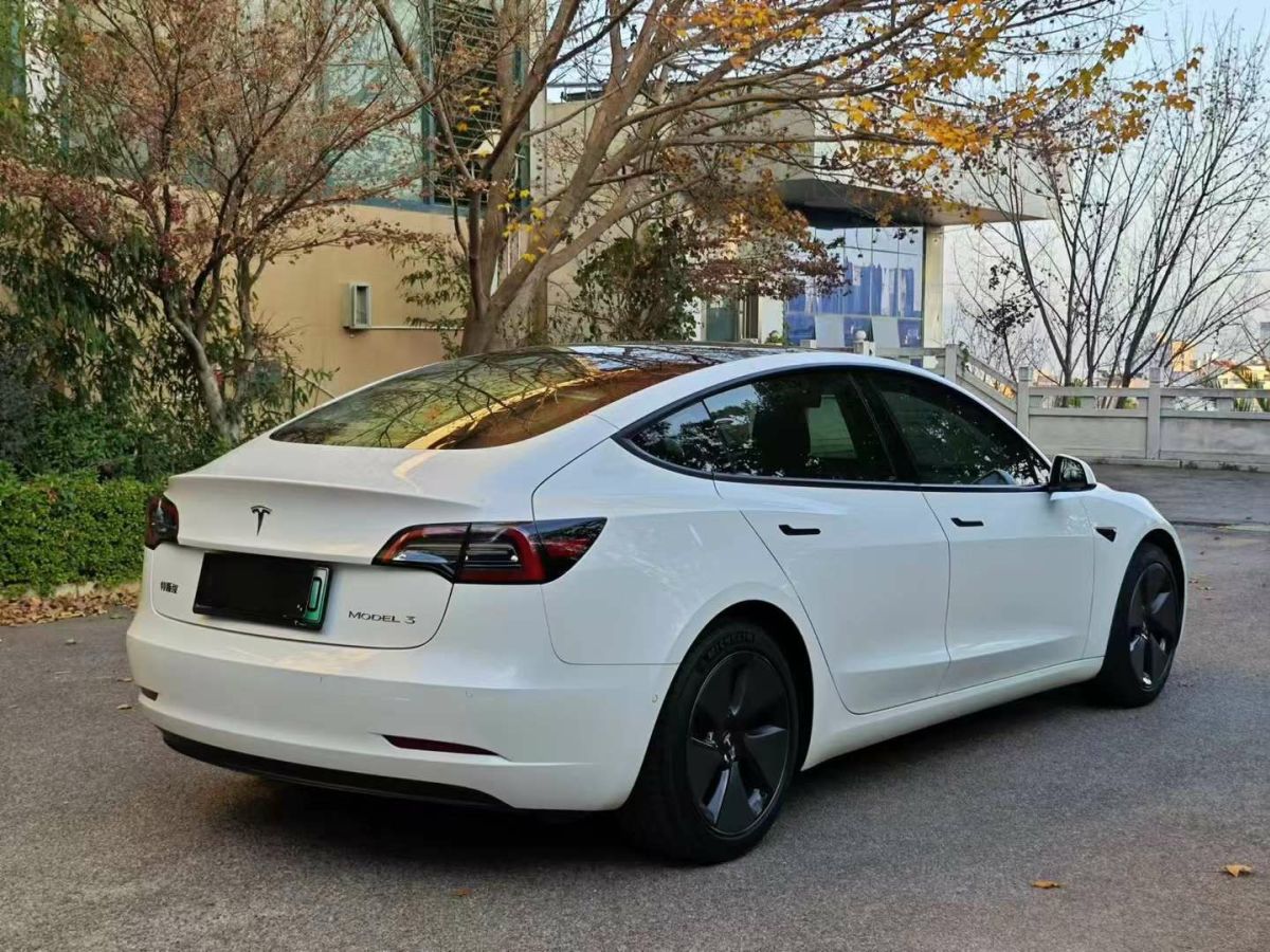 特斯拉 Model Y  2021款 標(biāo)準(zhǔn)續(xù)航后驅(qū)版圖片