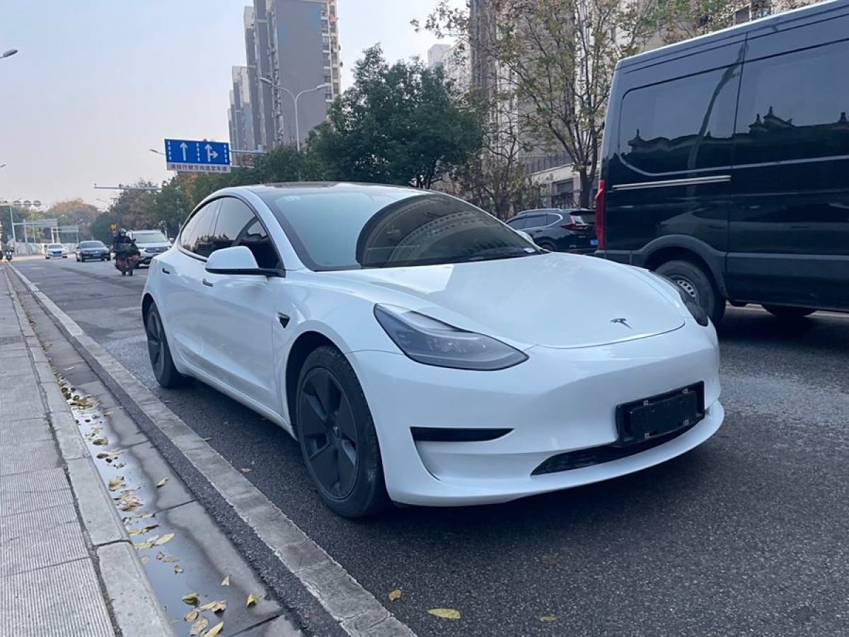 特斯拉 Model 3  2021款 改款 標(biāo)準(zhǔn)續(xù)航后驅(qū)升級(jí)版圖片