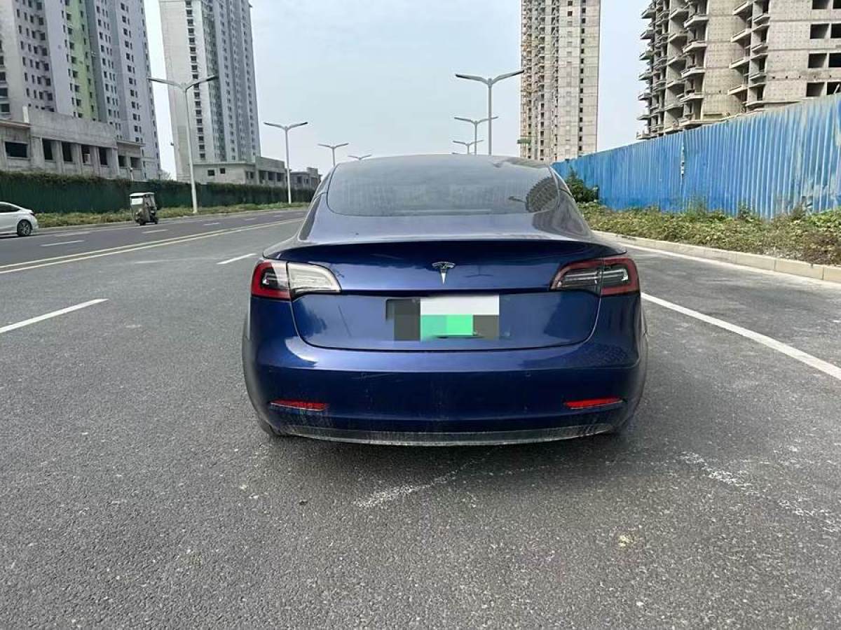 2019年11月特斯拉 Model 3  2019款 長(zhǎng)續(xù)航后驅(qū)版