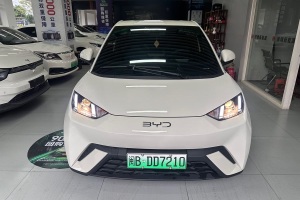 海鷗 比亞迪 榮耀版 305km 活力版