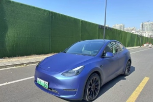 Model Y 特斯拉 長(zhǎng)續(xù)航全輪驅(qū)動(dòng)版