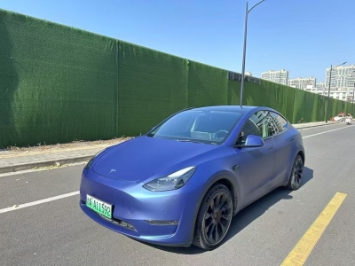 2021年1月 特斯拉 Model Y 長(zhǎng)續(xù)航全輪驅(qū)動(dòng)版圖片