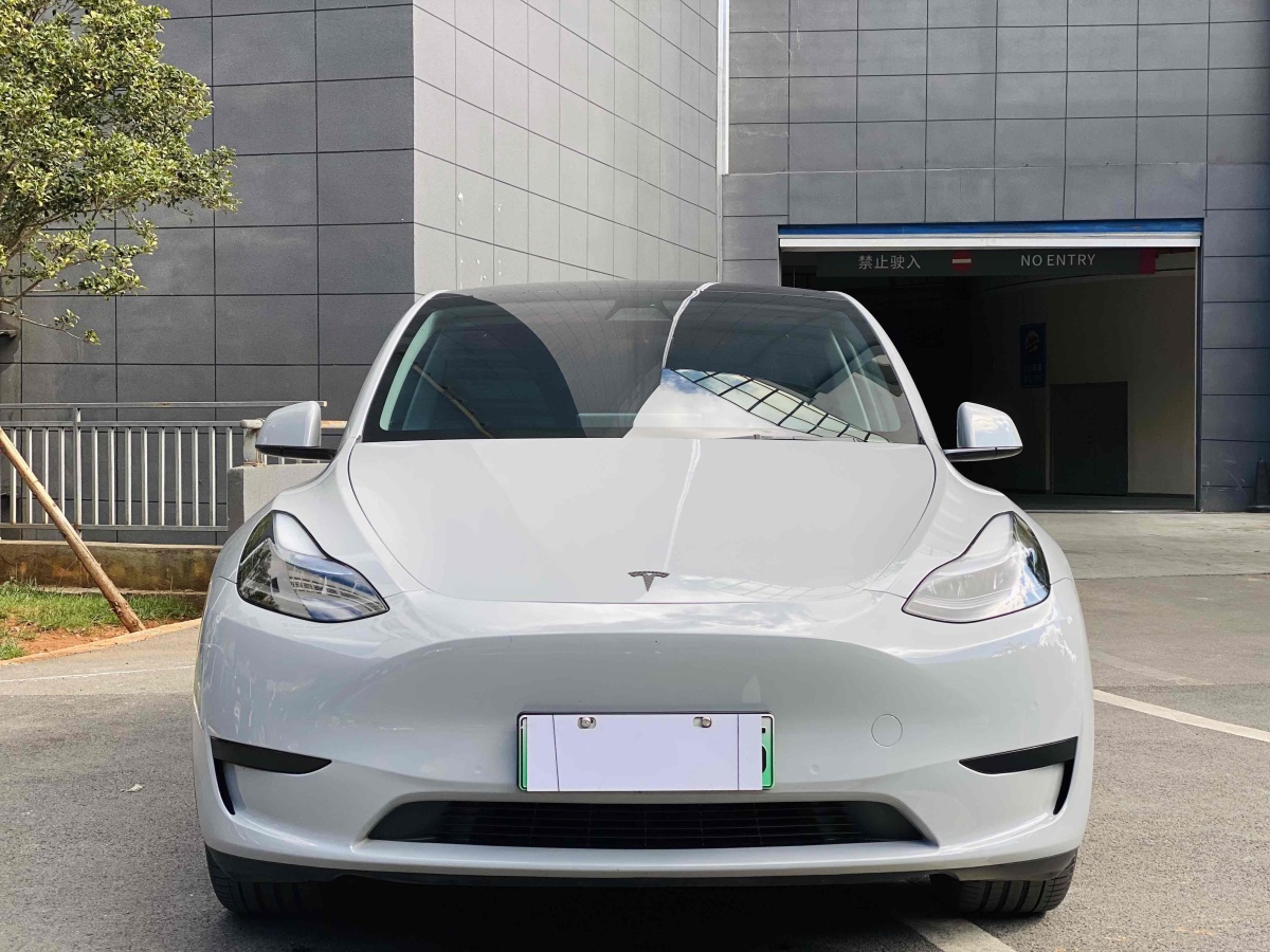 特斯拉 Model Y  2020款 改款 長續(xù)航后輪驅(qū)動版圖片