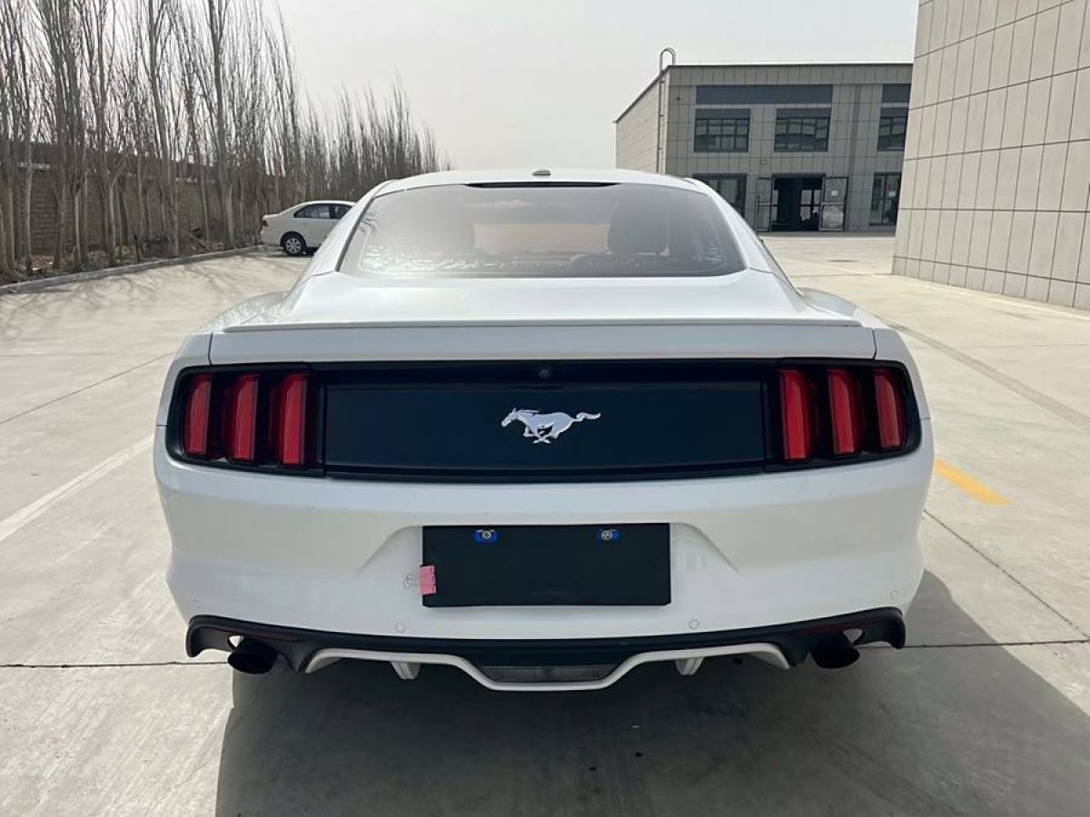 福特 Mustang  2016款 2.3T 性能版圖片