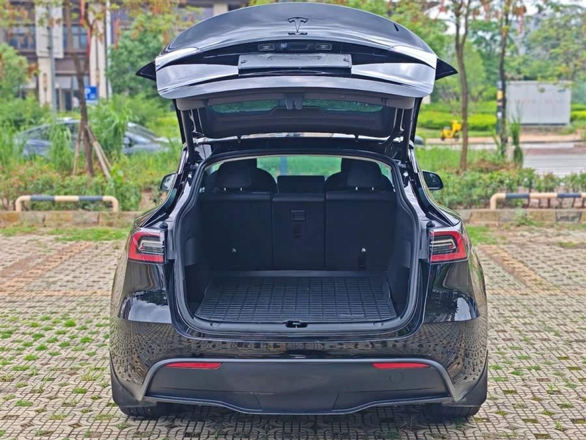 特斯拉 Model Y  2021款 改款二 長續(xù)航全輪驅(qū)動(dòng)版圖片