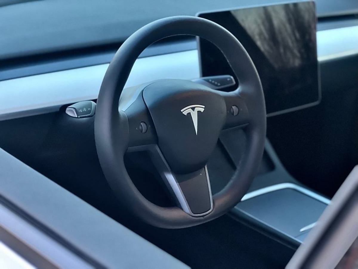 特斯拉 Model Y  2022款 改款 長(zhǎng)續(xù)航全輪驅(qū)動(dòng)版圖片