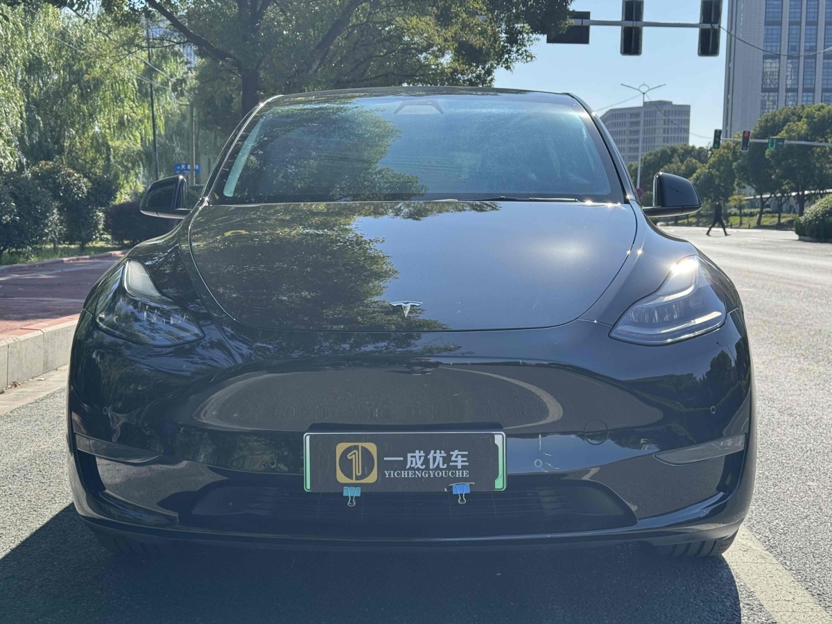 特斯拉 Model 3  2022款 后輪驅(qū)動(dòng)版圖片