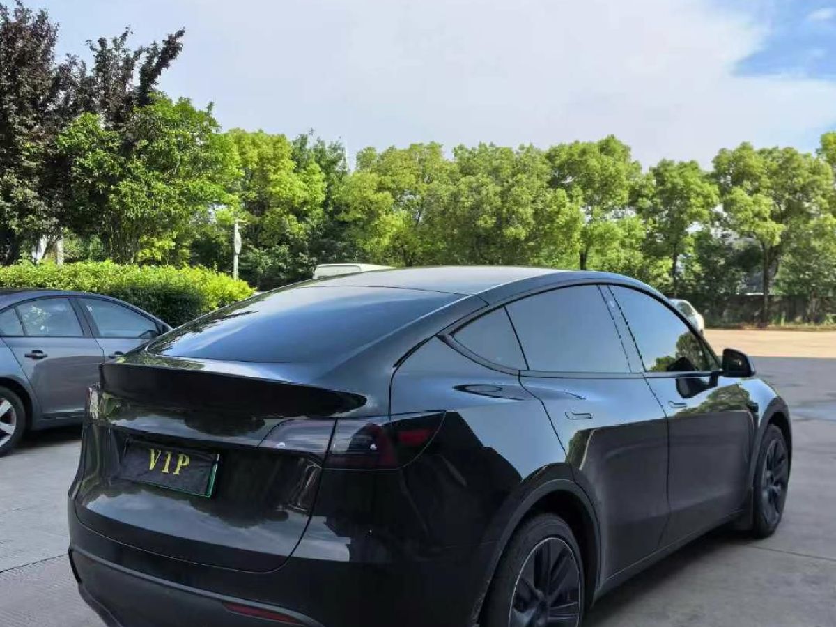特斯拉 Model Y  2022款 Performance高性能全輪驅動版圖片