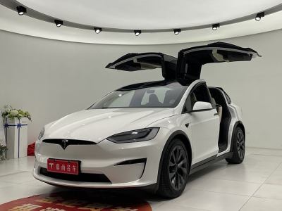 2023年10月 特斯拉 Model X 雙電機(jī)全輪驅(qū)動(dòng)版圖片