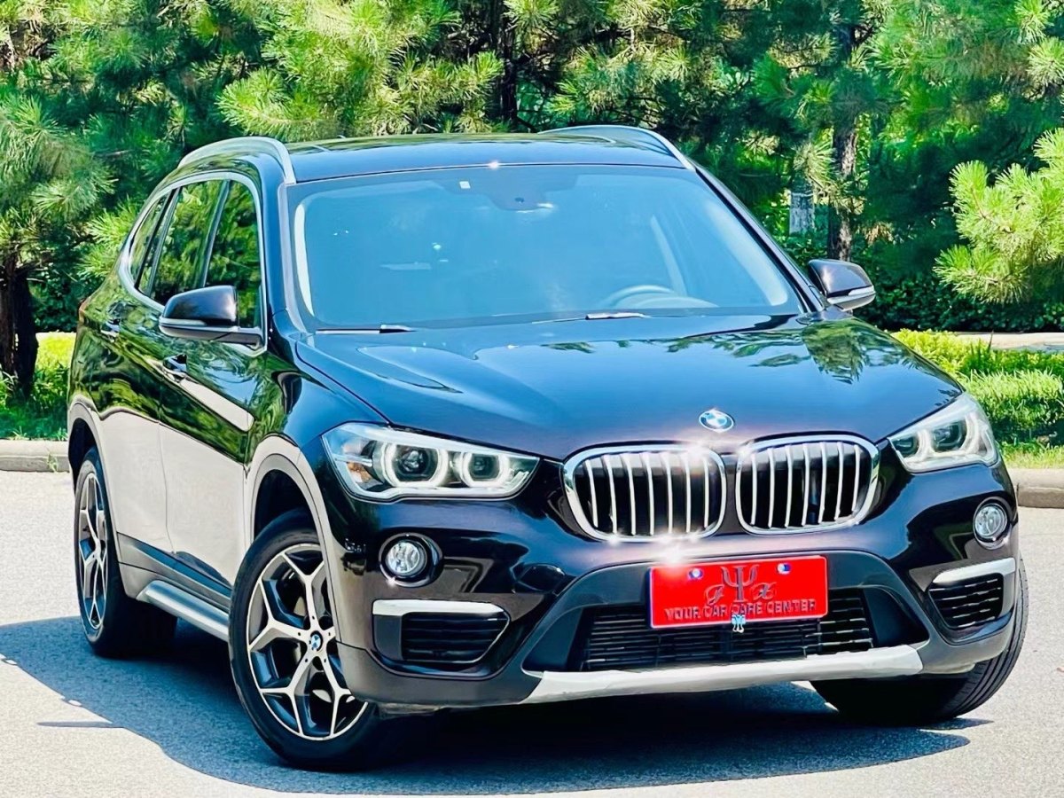 寶馬 寶馬X1  2019款 xDrive20Li 尊享型圖片