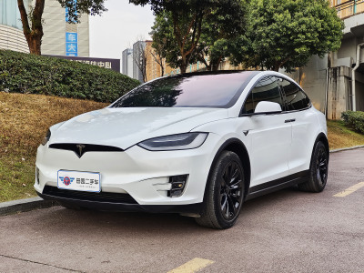 2019年2月 特斯拉 Model X Model X 100D 長(zhǎng)續(xù)航版圖片