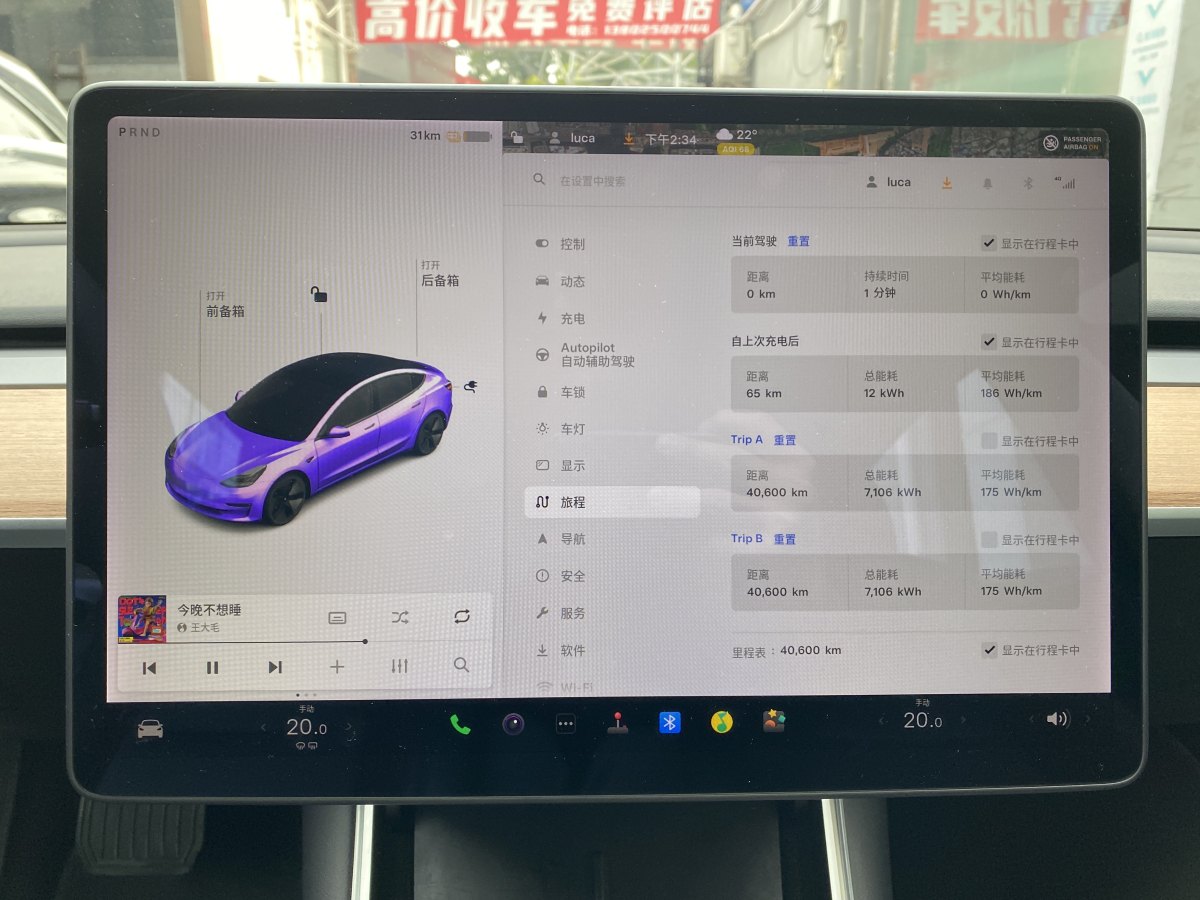 特斯拉 Model 3  2019款 標(biāo)準續(xù)航后驅(qū)升級版圖片