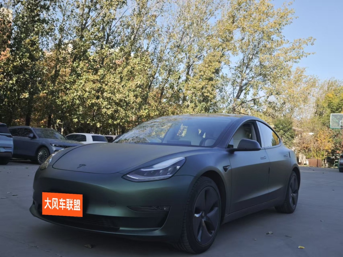 特斯拉 Model 3  2020款 改款 長續(xù)航后輪驅(qū)動(dòng)版圖片