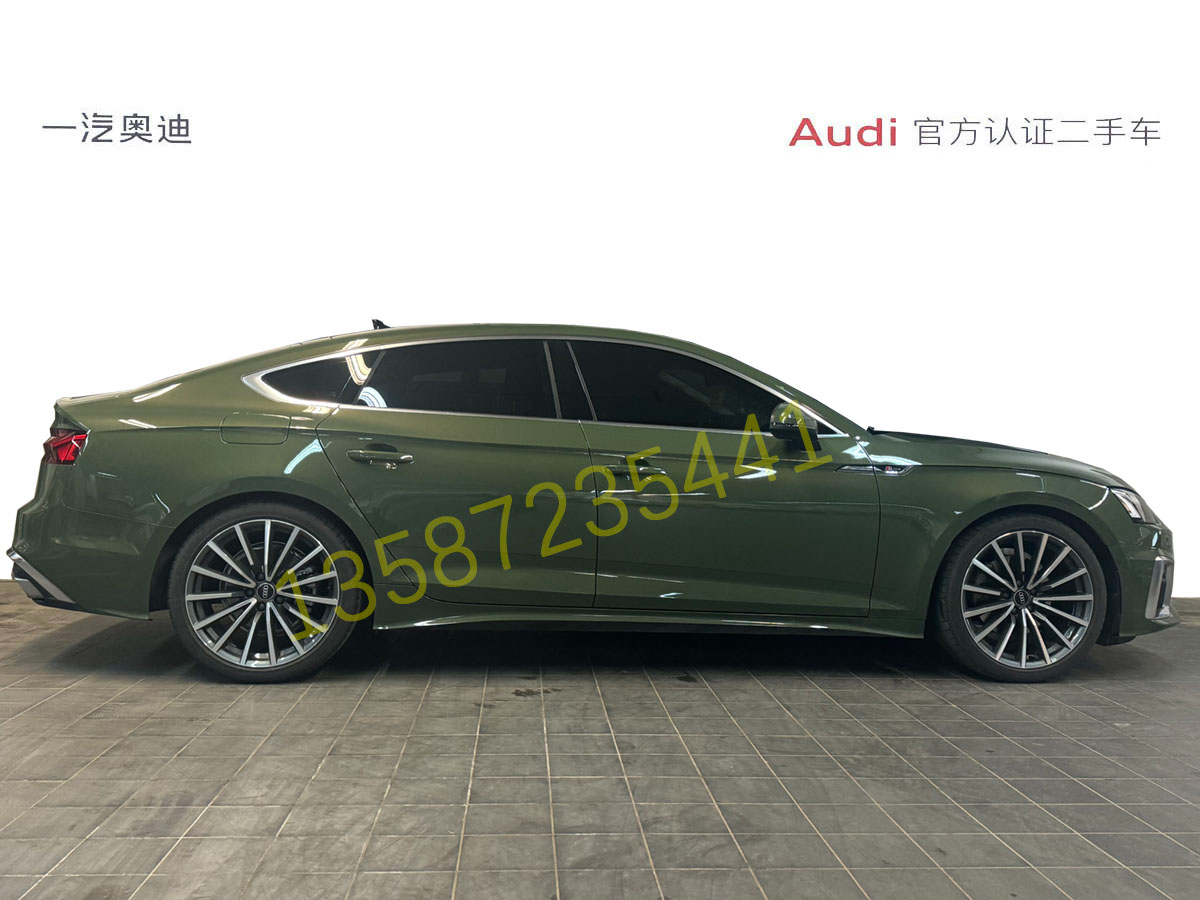 奧迪 奧迪A5  2022款 Sportback 40 TFSI quattro 豪華動(dòng)感型圖片