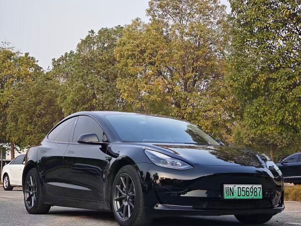 特斯拉 Model 3  2021款 改款 標(biāo)準(zhǔn)續(xù)航后驅(qū)升級(jí)版圖片