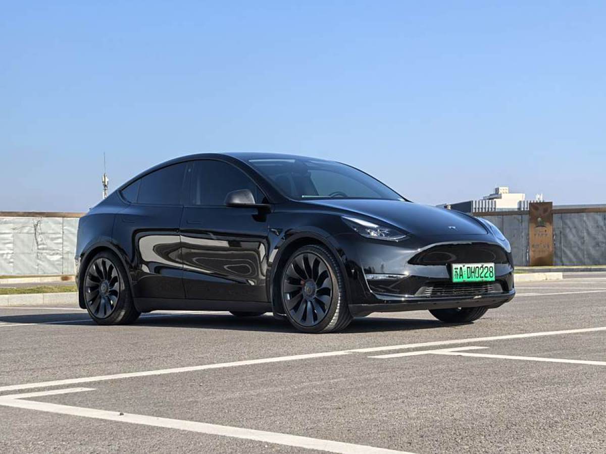 特斯拉 Model 3  2022款 Performance高性能全輪驅(qū)動版圖片